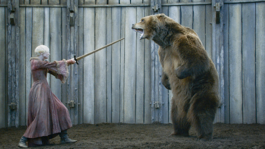 The Bear