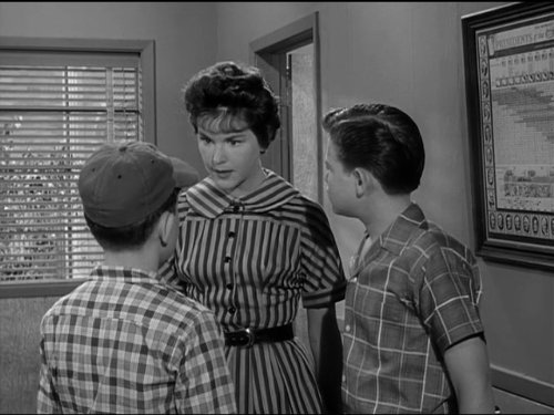 Wally Cleaver