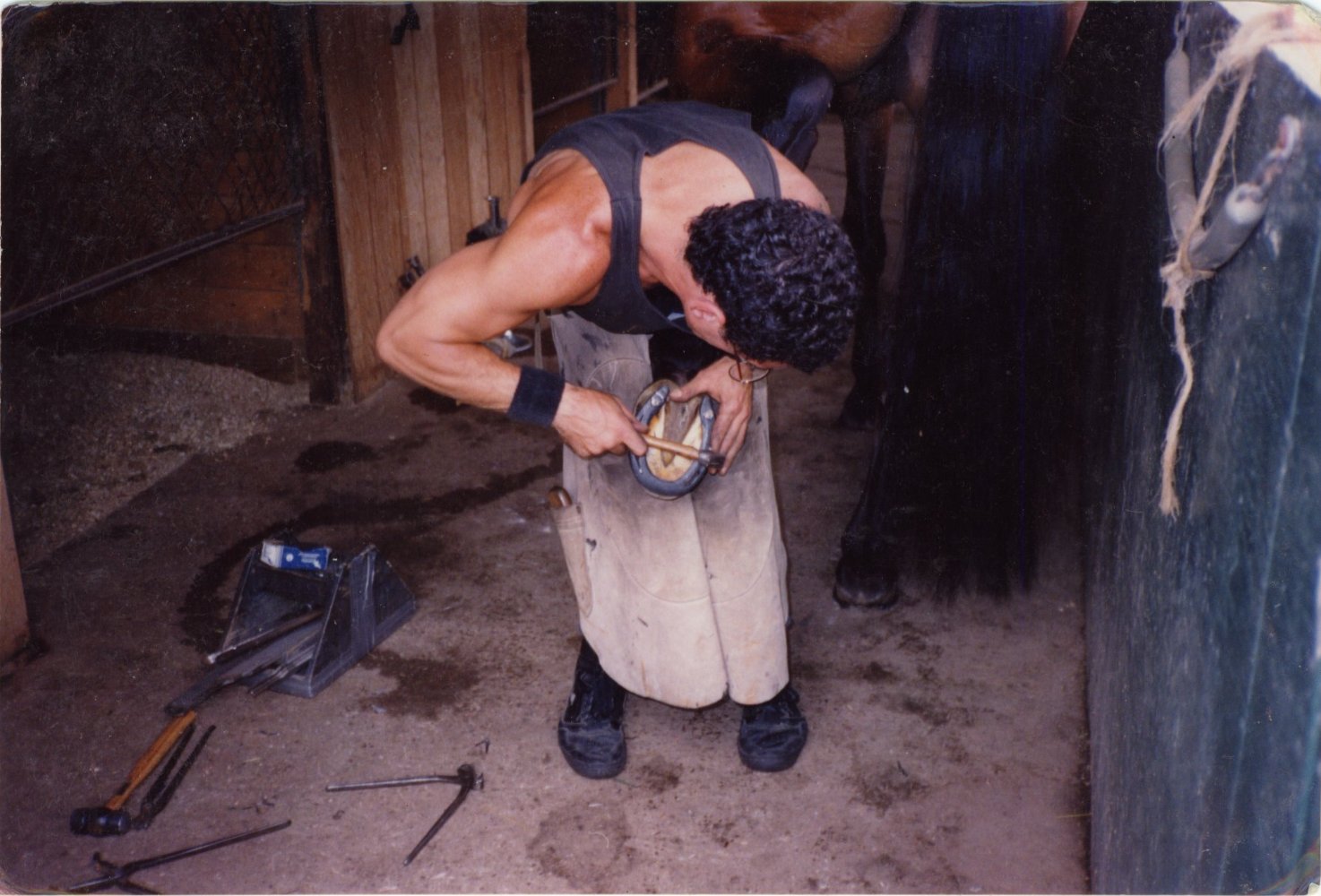 David Copeland