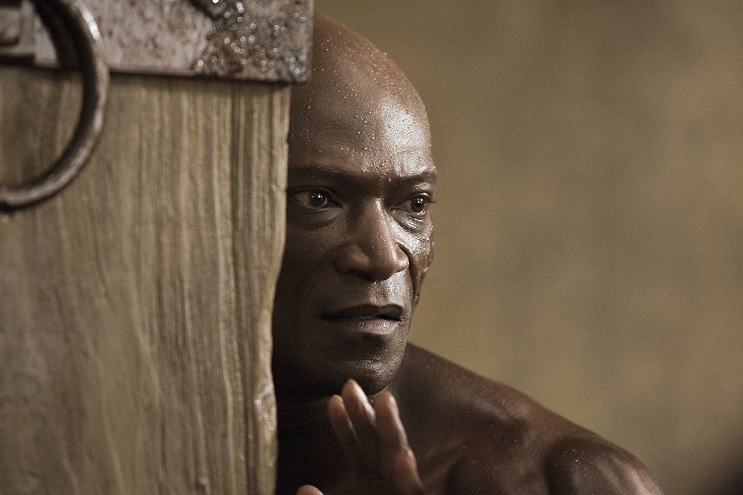 Oenomaus