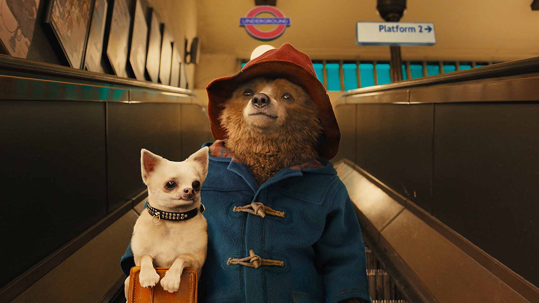 Paddington Bear