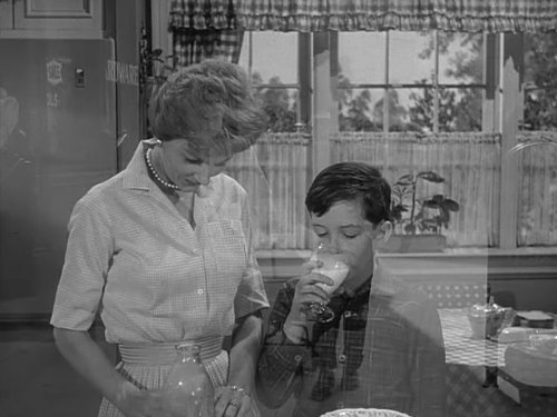 Theodore 'Beaver' Cleaver