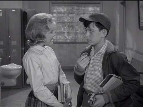 Theodore 'Beaver' Cleaver