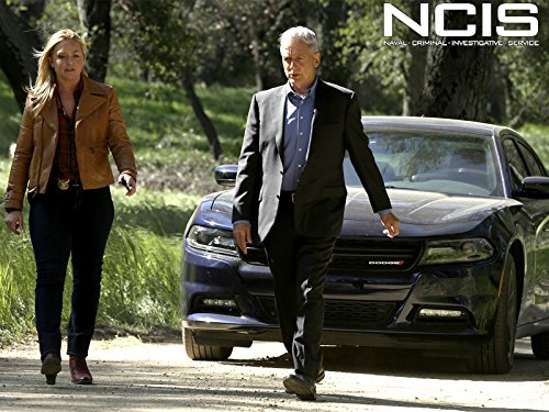 Mark Harmon