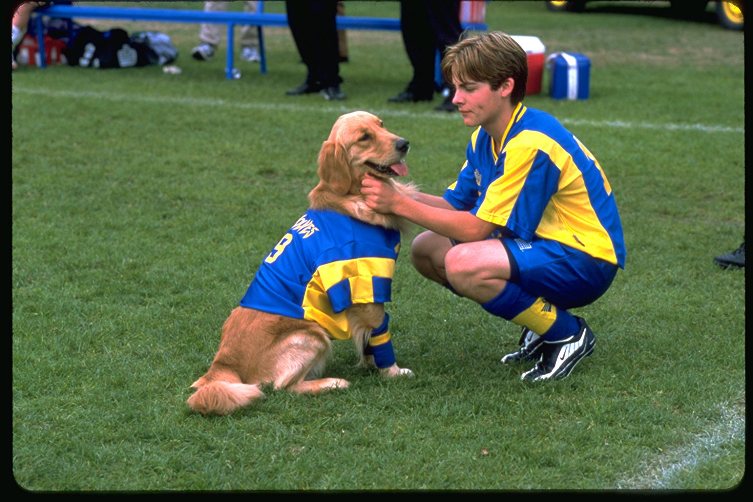 Buddy