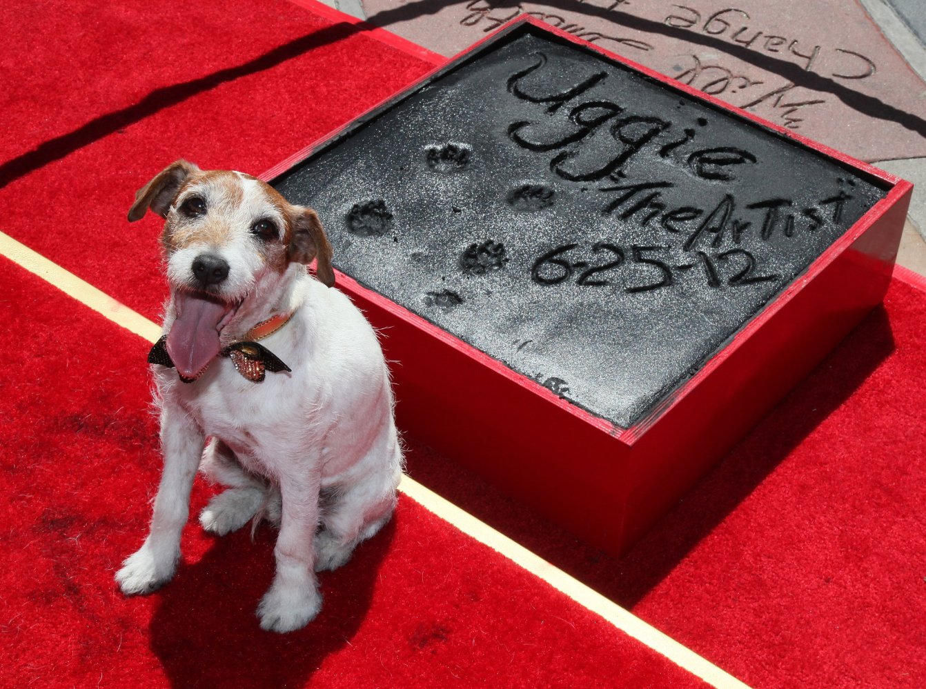 Uggie