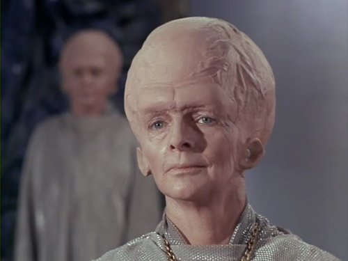 Meg Wyllie