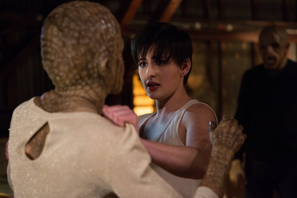 Trubel