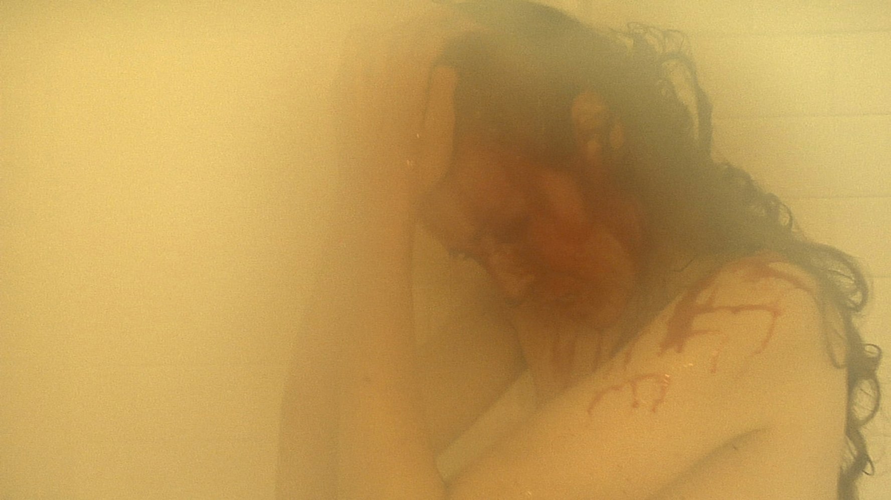Kate Lyn Sheil