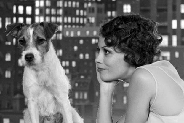 The Dog