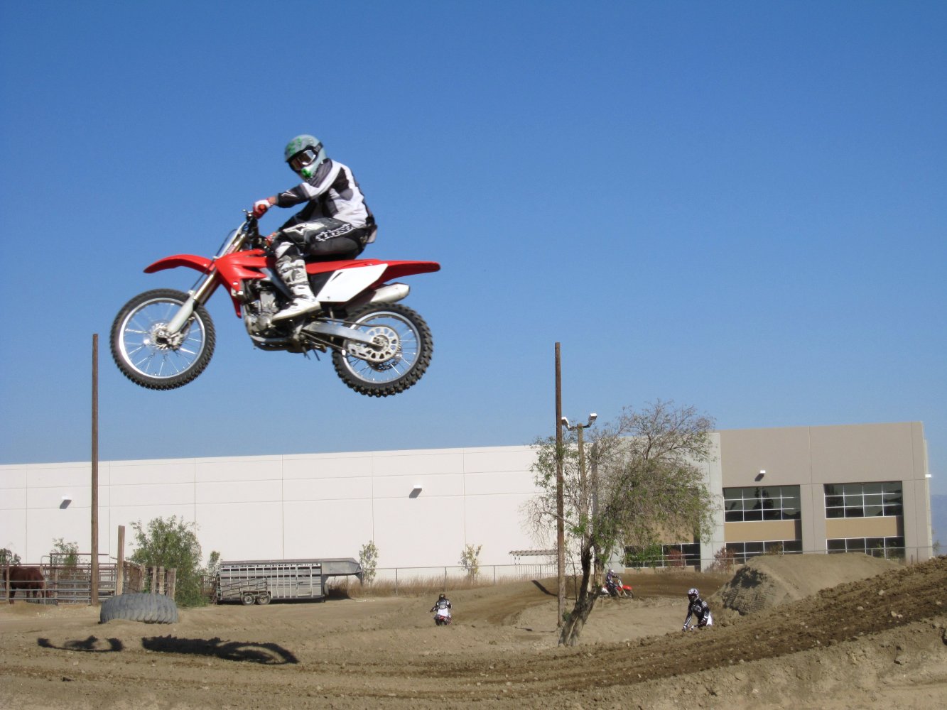 Adam Popp