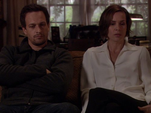 Josh Charles