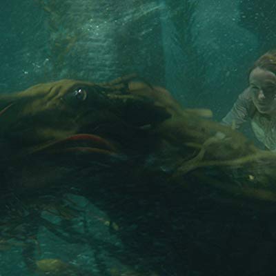 Newt Scamander