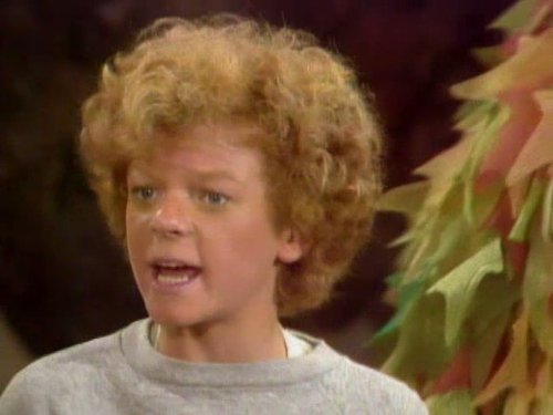 Johnny Whitaker