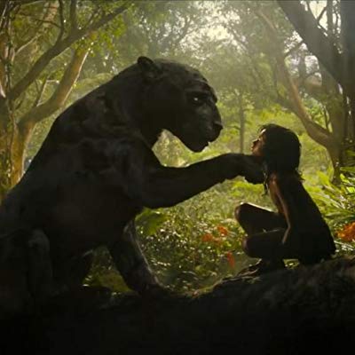 Bagheera