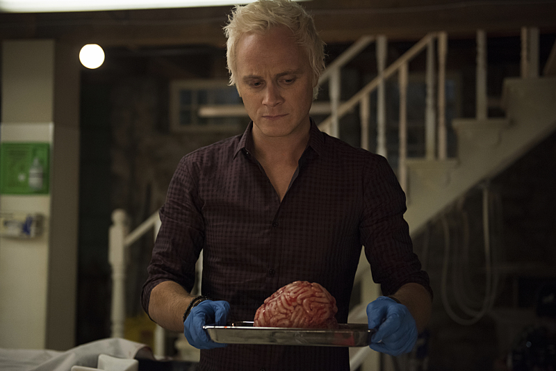 David Anders