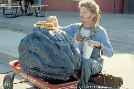 Joe Dirt