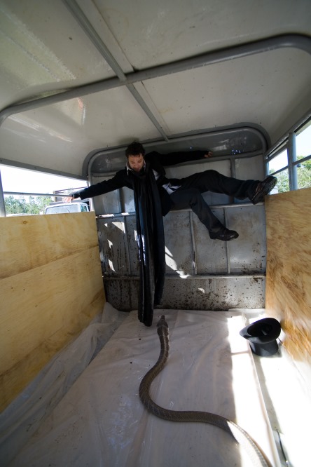 Bam Margera
