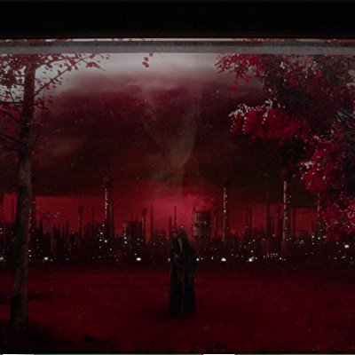 The Witness