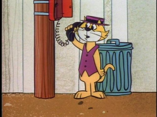 Top Cat