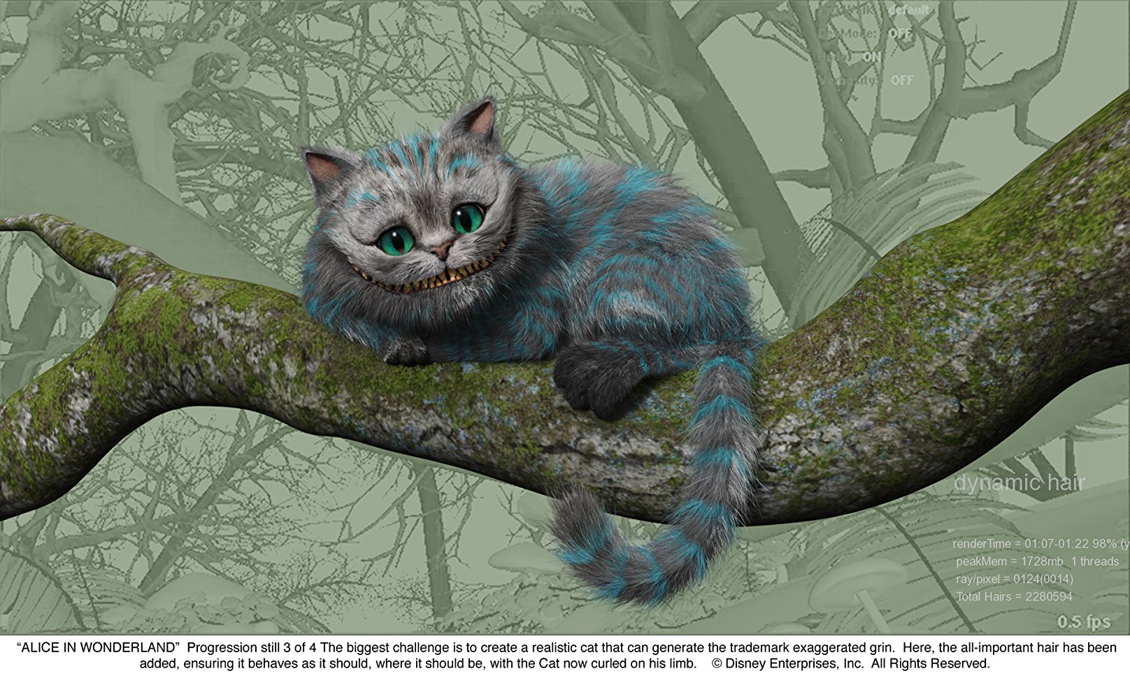 The Cheshire Cat