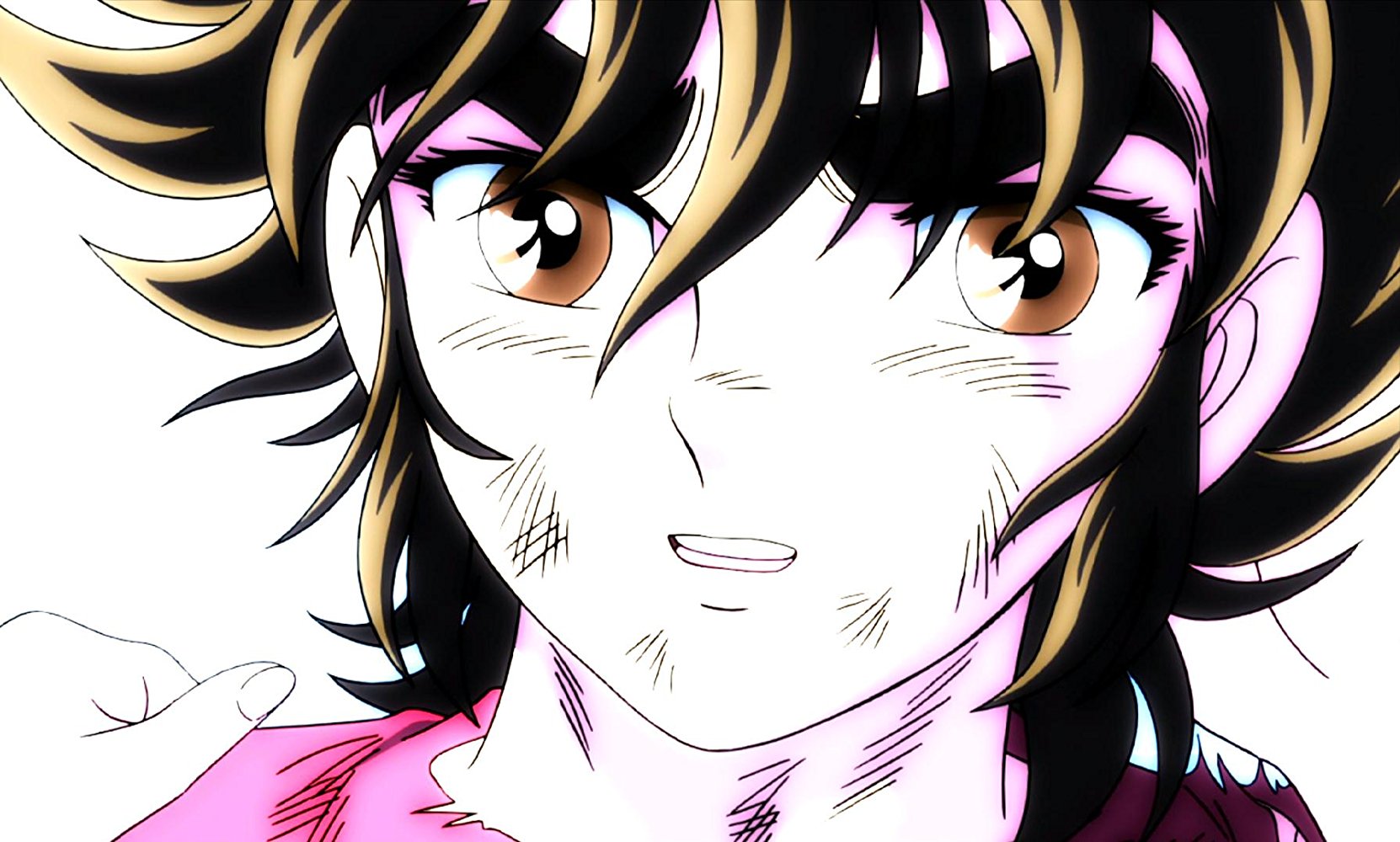 Pegasus Seiya