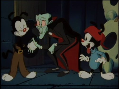 Yakko Warner