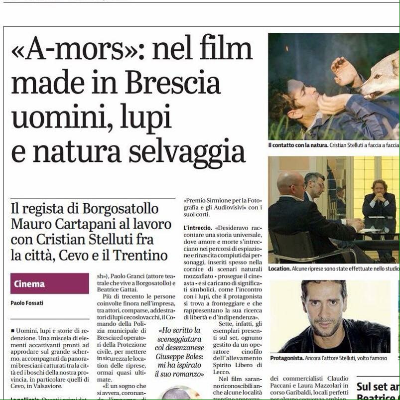Cristian Stelluti