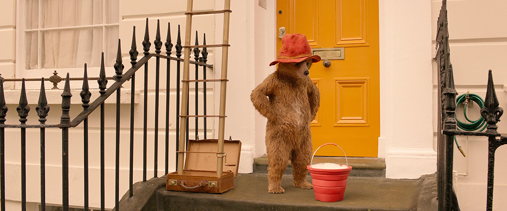 Paddington Bear