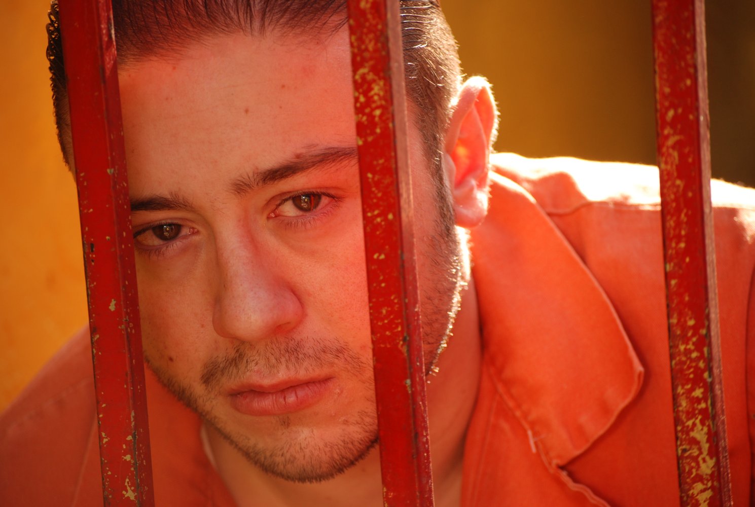 Nick Di Brizzi Jr.
