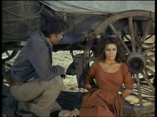 Michael Landon