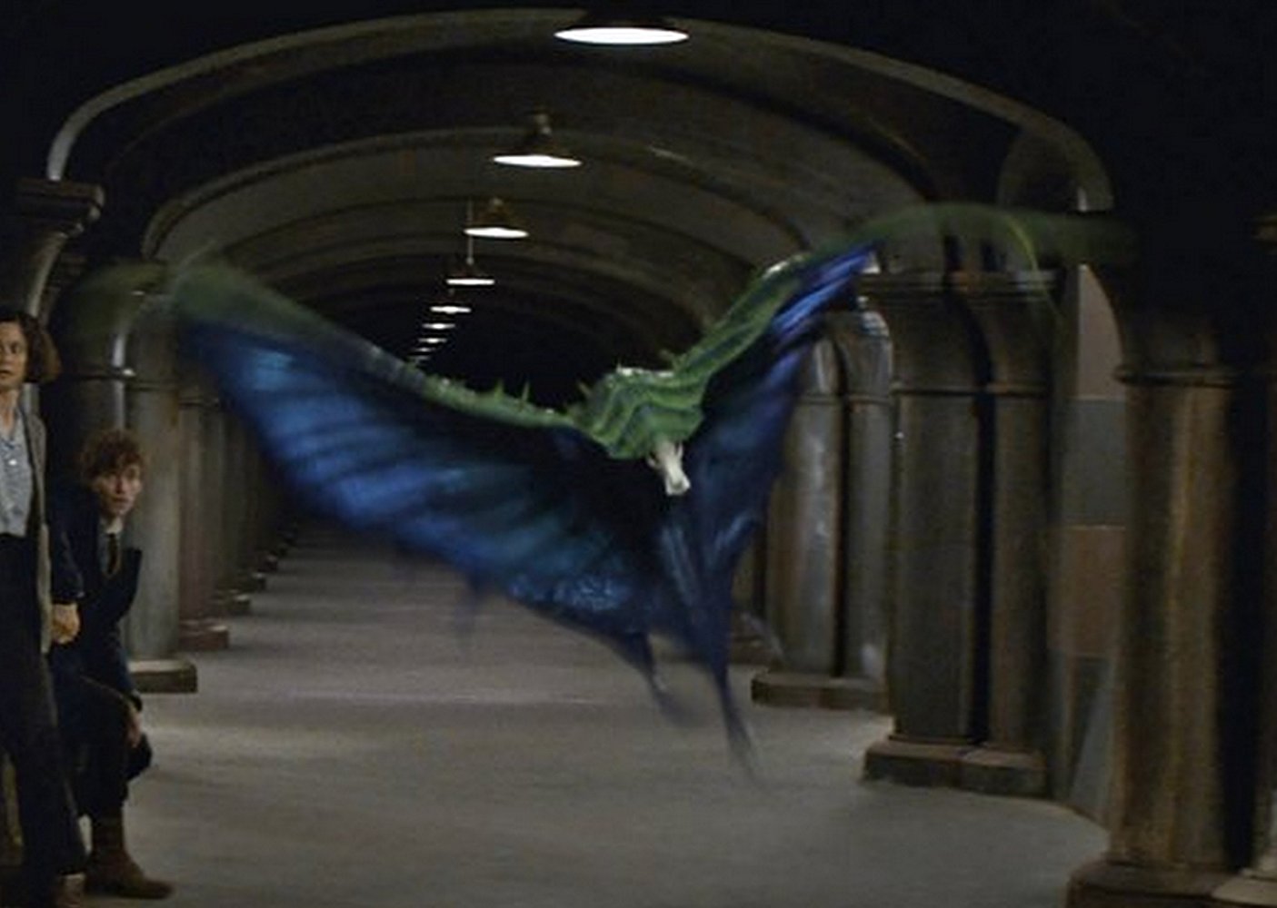 Newt Scamander