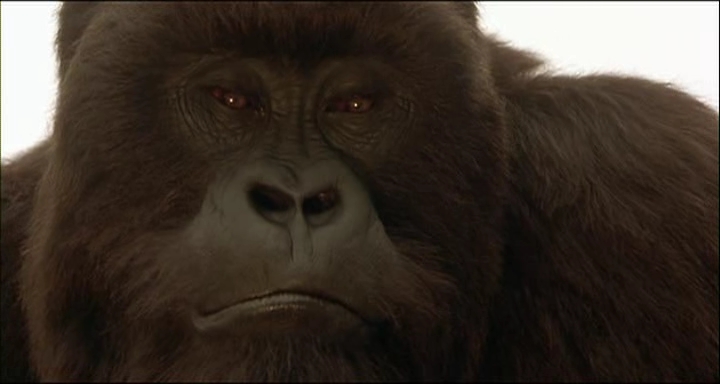 Mighty Joe Young