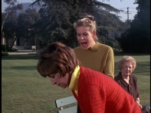 Aunt Clara