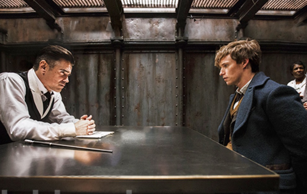 Newt Scamander