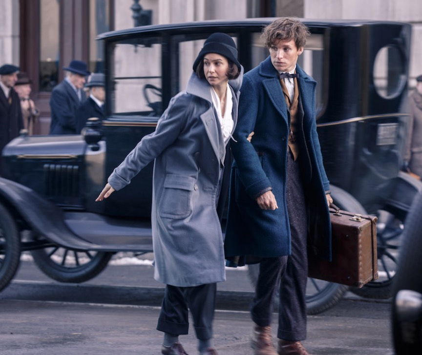 Newt Scamander