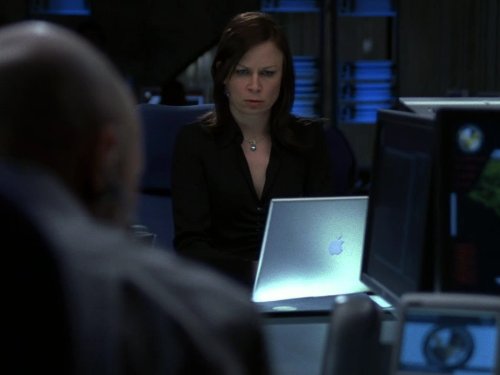 Mary Lynn Rajskub