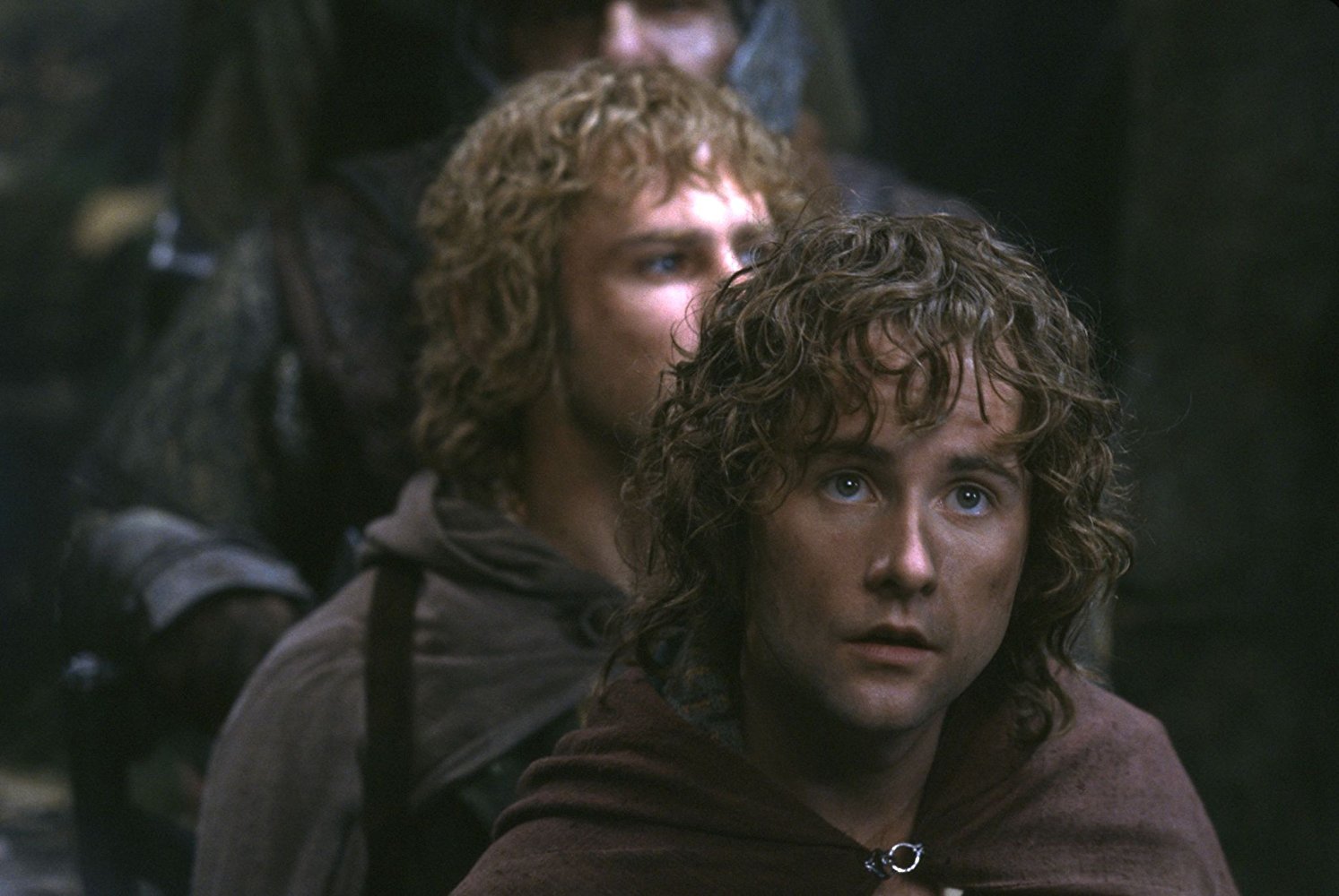 Peregrin 'Pippin' Took