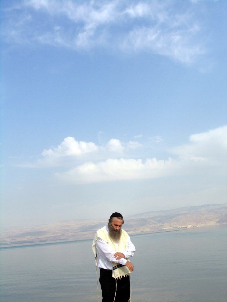 Assi Dayan