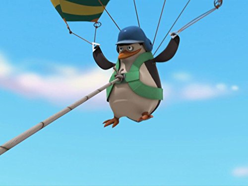 Skipper
