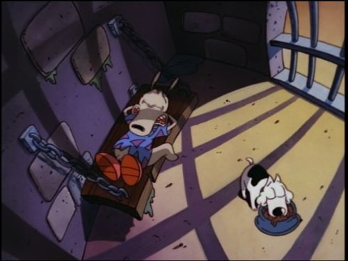 Rocko