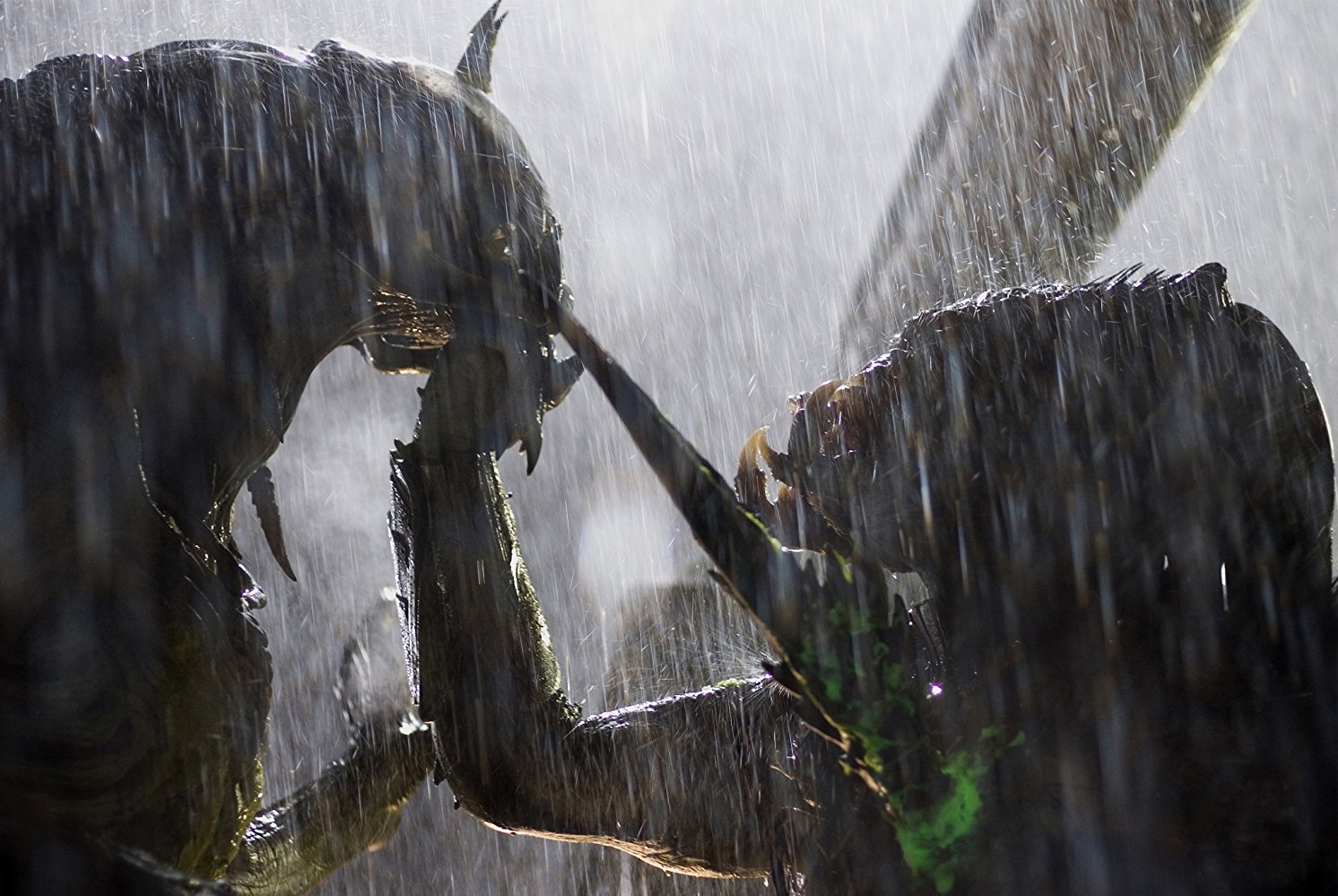 The Predator