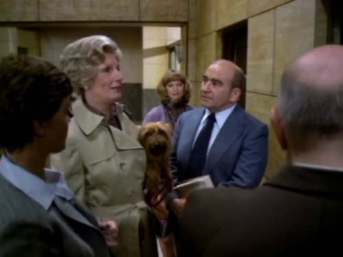 Lou Grant