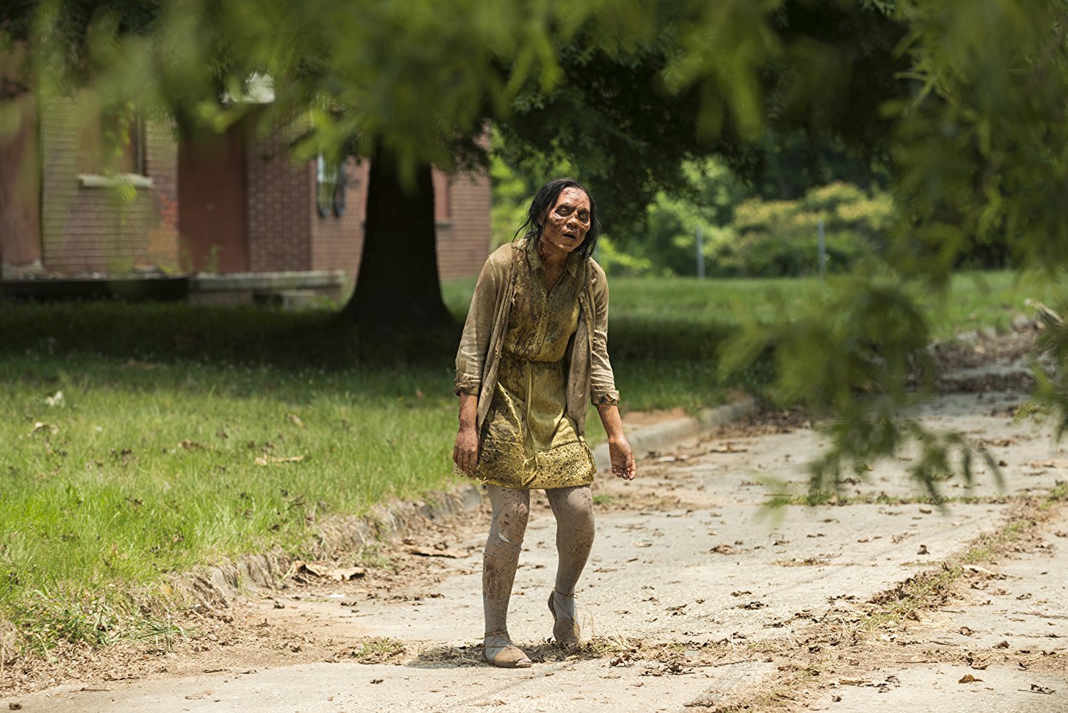 Walker