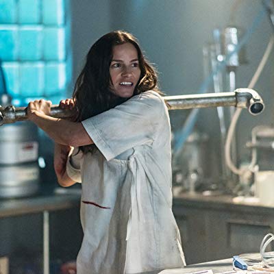 Vanessa Helsing, Vanessa Van Helsing, Van Helsing