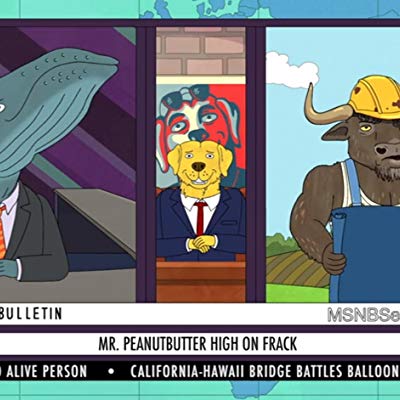 Mr. Peanutbutter, Sandro, Albino Rhino Gyno, Marv, Andrew Garfield, Dr. Boing-Boing, Janitor, Abortion Doctor, Actor #2, Auto Glass Man...