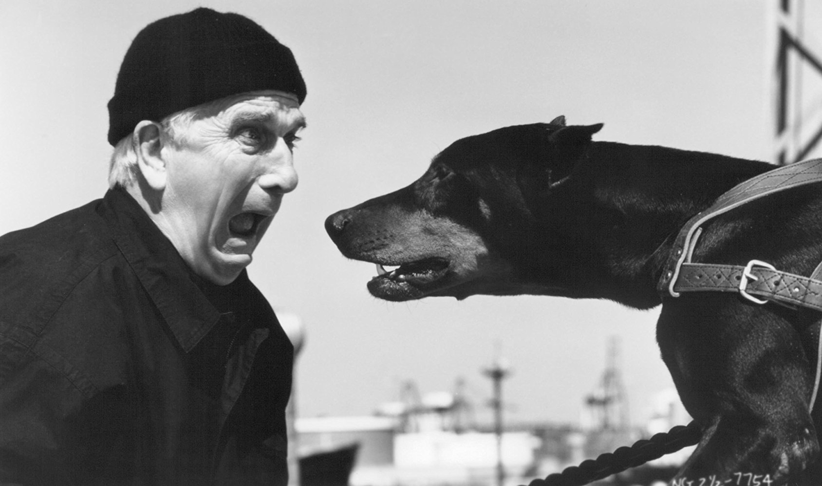 Lt. Frank Drebin
