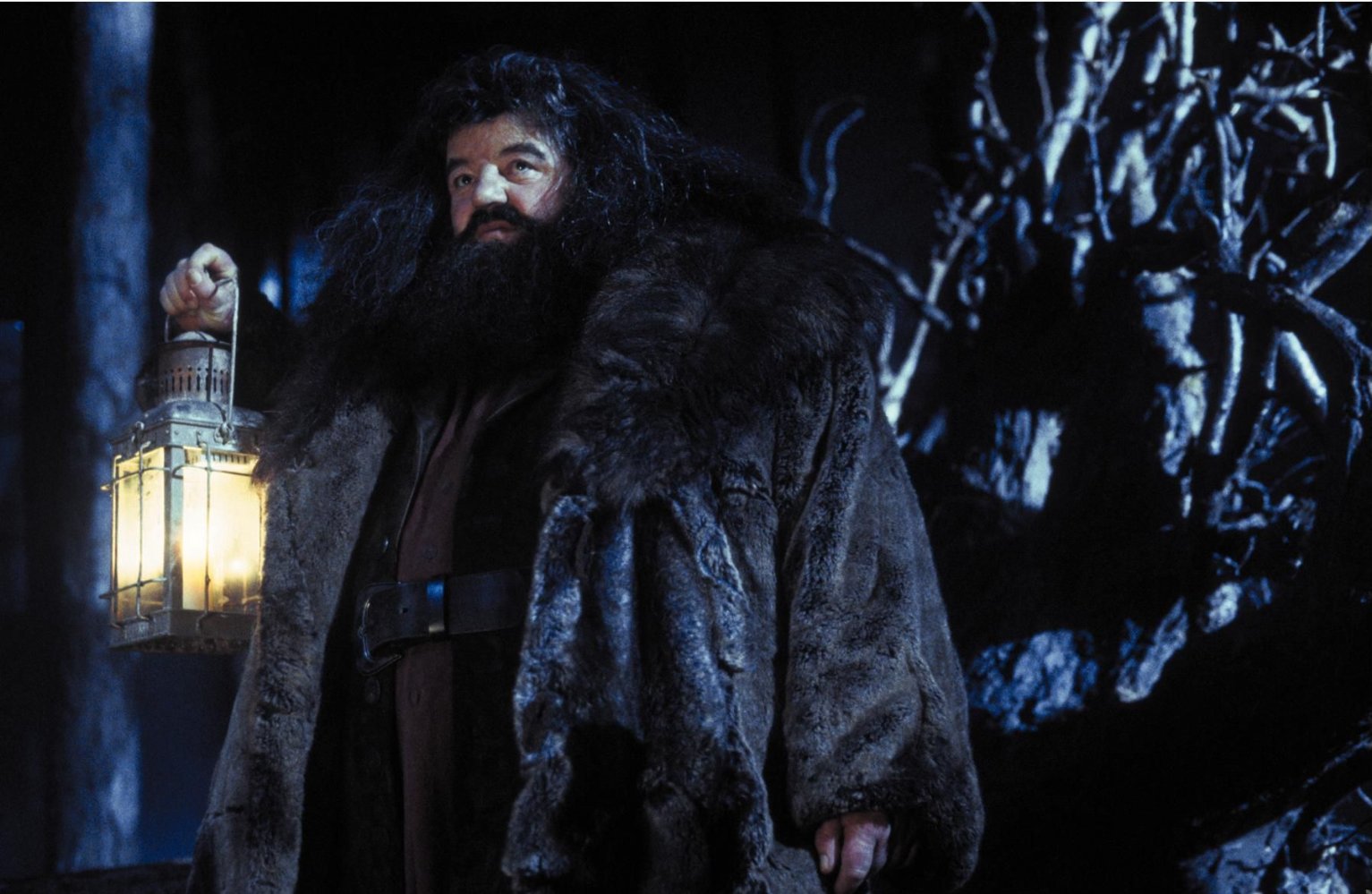 Rubeus Hagrid