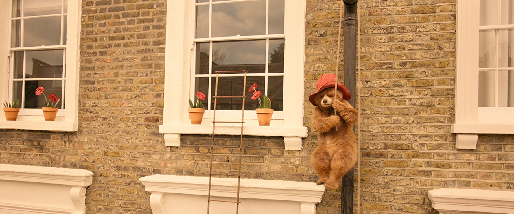 Paddington Bear