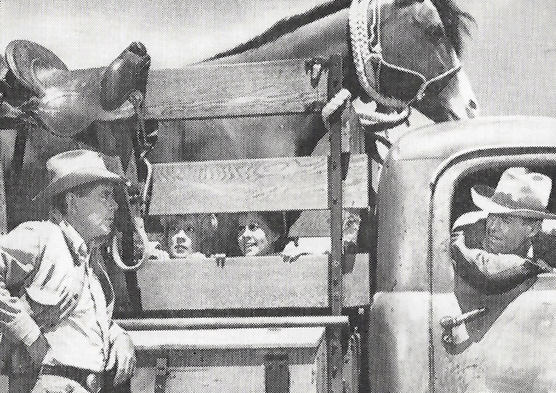 Hope Holiday